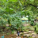 만포가든 이미지