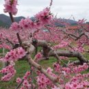 우리들 당구장 이미지