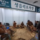 성읍리초가장 이미지