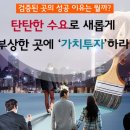 수원-1877 이미지