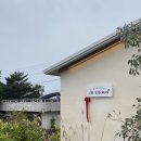 제주인(제주in) | 제주 여행 서귀포 안덕 크리스마스 분위기 물씬 카페 ‘인무드’