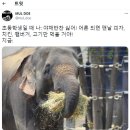 24시장가네부대찌개콩나물국밥 이미지