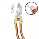 가위여왕 | 전지가위 비교 후기 꽃들이 노래하는 기적같은 변화