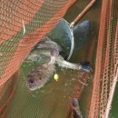 창리해상낚시터 이미지