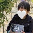 해성유치원 이미지