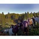 산양목장 이미지