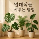 식물