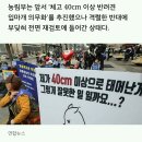 "개입마개 착용 의무화 철회"... 서울도심서 400여명 집회 이미지