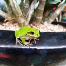 금산분재펜션 이미지