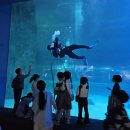 25년 서울롯데타워&amp;아쿠아리움 이미지