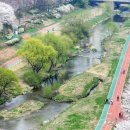 꽃길만걷자6 이미지