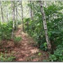 와수 3리 이미지