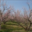 선명농장 이미지