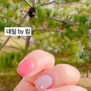 네일바이림