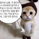 서울깍두기양산
