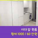 이화 스테이 이미지