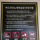 와드코인 노래연습장 네이버블로그