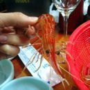 막내회센타 이미지