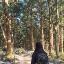 다인야영장 | 한라산 관음사 성판악 코스 초보자 후기ㅣ예약방법, 난이도, 준비물, 복장, 주차장