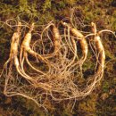 한우명품 이미지