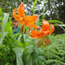 큰재 주차장 이미지