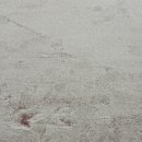 을숙도 다목적 실내생활체육관 이미지