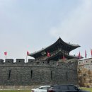 메리트약국 | 수원 남문 최저가 약국 추천 도매당약국