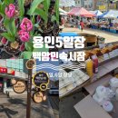 시장6로 | 수도권 1일6일 오일장 용인 백암민속시장 다녀온 생생후기