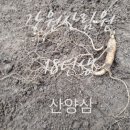 강원산림원 이미지