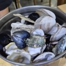 평택손칼국수 | 평택맛집ㅣ박승광 해물손칼국수 팽성점 솔직후기 (해물파전도 굿