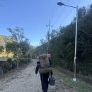 호명산잣나무숲캠핑장 | [내돈내산] 가평 호명산 잣나무 숲속 캠핑장 백패킹 2박3일 후기 | 명당 사이트 추천