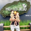 신동아편의점 | 가족여행 1일차 (대구국제공항, 제주국제공항, 제주 신동아렌트카, 유탑유블레스호텔제주, 함덕해수욕장)