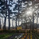 베니체지 - 김포시 김포한강2로23번길 70 | 베니체지