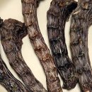 더야무지개 이미지