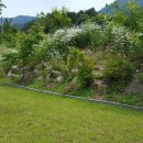 전원일기마을 오토 캠핑장 이미지