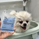 메모르드몽 이미지