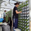 우림농장 이미지