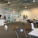 푸치푸치 | 🐾 파주 애견카페 푸치페이 솔직 방문 후기