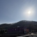 유니스의정원 | 안산 아기랑 갈만한 곳! 실내 식물원 유니스의 정원 내돈내산 후기