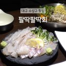 GS25대구수성점 | [팔딱팔딱회] 대구 수성구 횟집 / 분위기 좋은 범어동맛집