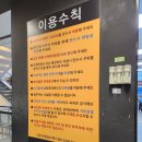 로라스로라월드 - 중구 | 로라스로라월드