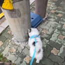 다루동물병원 이미지