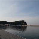 수산항요트마리나 Daum카페