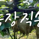 배씨농장 이미지