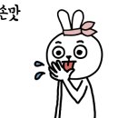 금성낚시