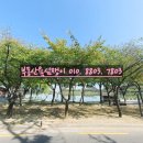 THE대박공인중개사사무소 이미지