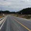 리도206호선 이미지