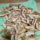 자연산 ㅡ꾸지뽕뿌리(가격협의) 이미지