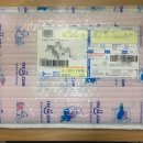 The dog 애견미용샵 이미지