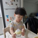 성동힐링센터 휴(休) 영월캠프 | [꼬비+715, 716일차] 추석 연휴 시작/ 성동힐링센터휴 영월캠프/ 동강 붉은 메밀꽃 축제